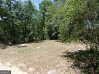 51 Coweta Road, Hoboken, GA 31542