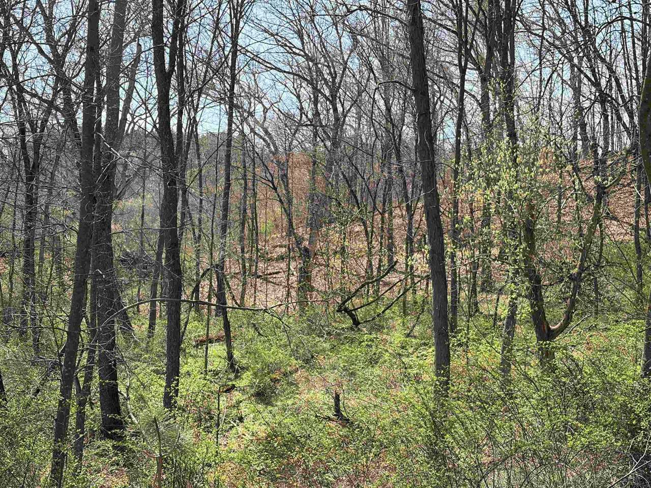 16526 County Rd. H, Marshall, WI 53581
