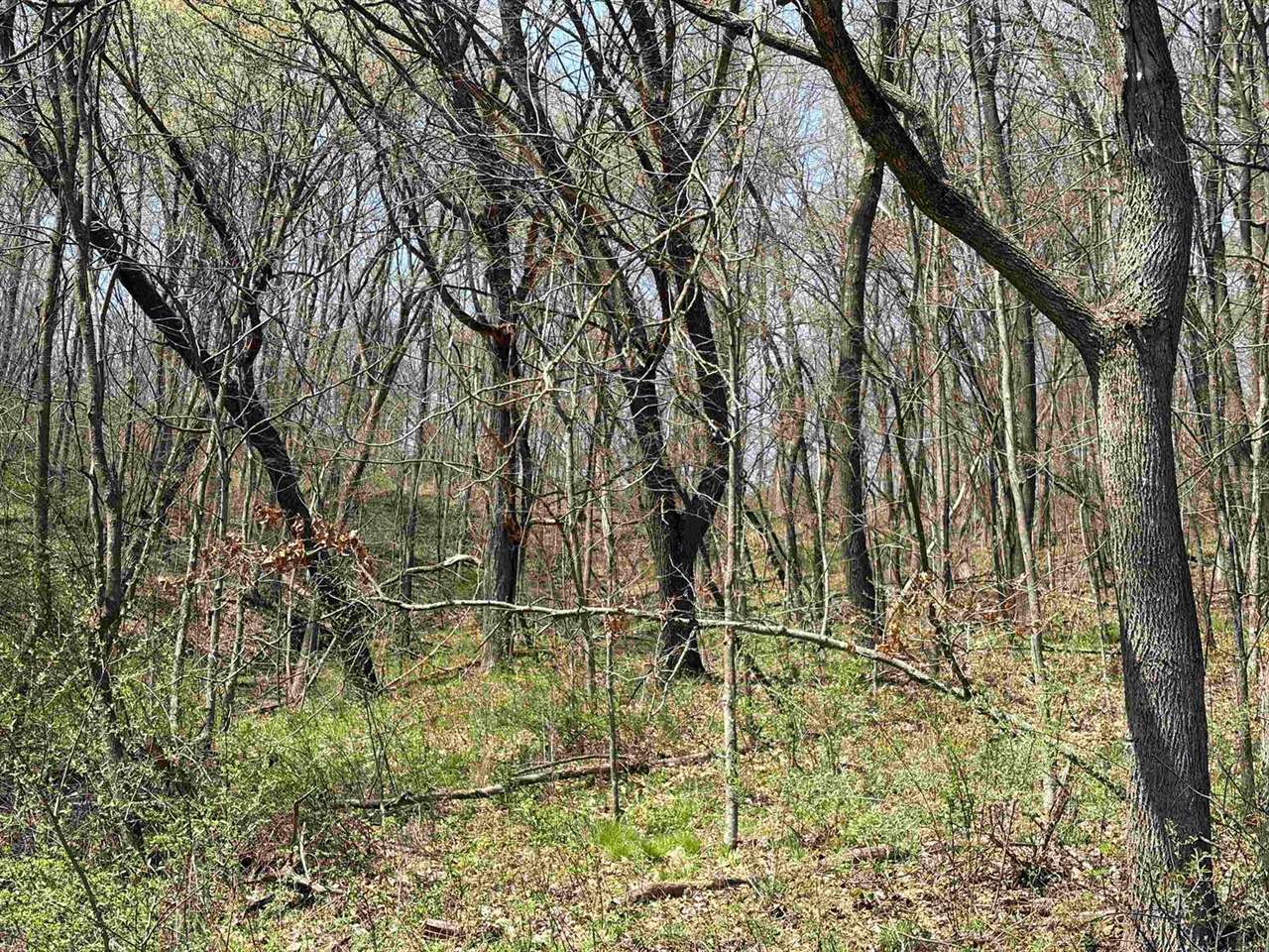 16526 County Rd. H, Marshall, WI 53581