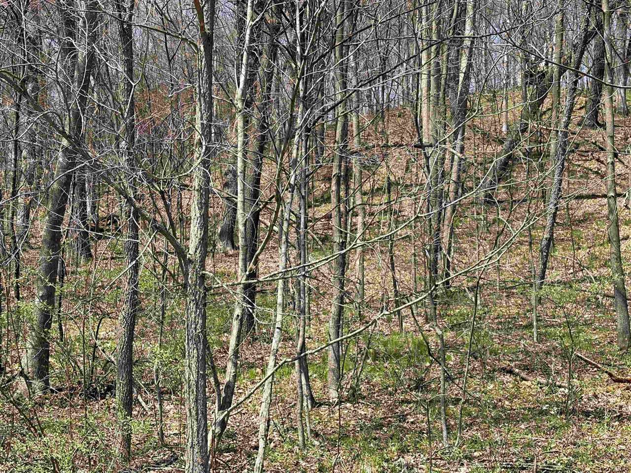 16526 County Rd. H, Marshall, WI 53581