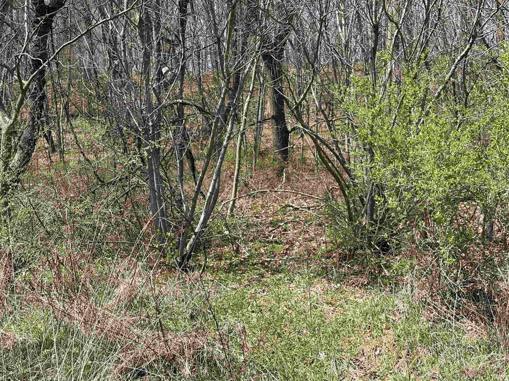 16526 County Rd. H, Marshall, WI 53581