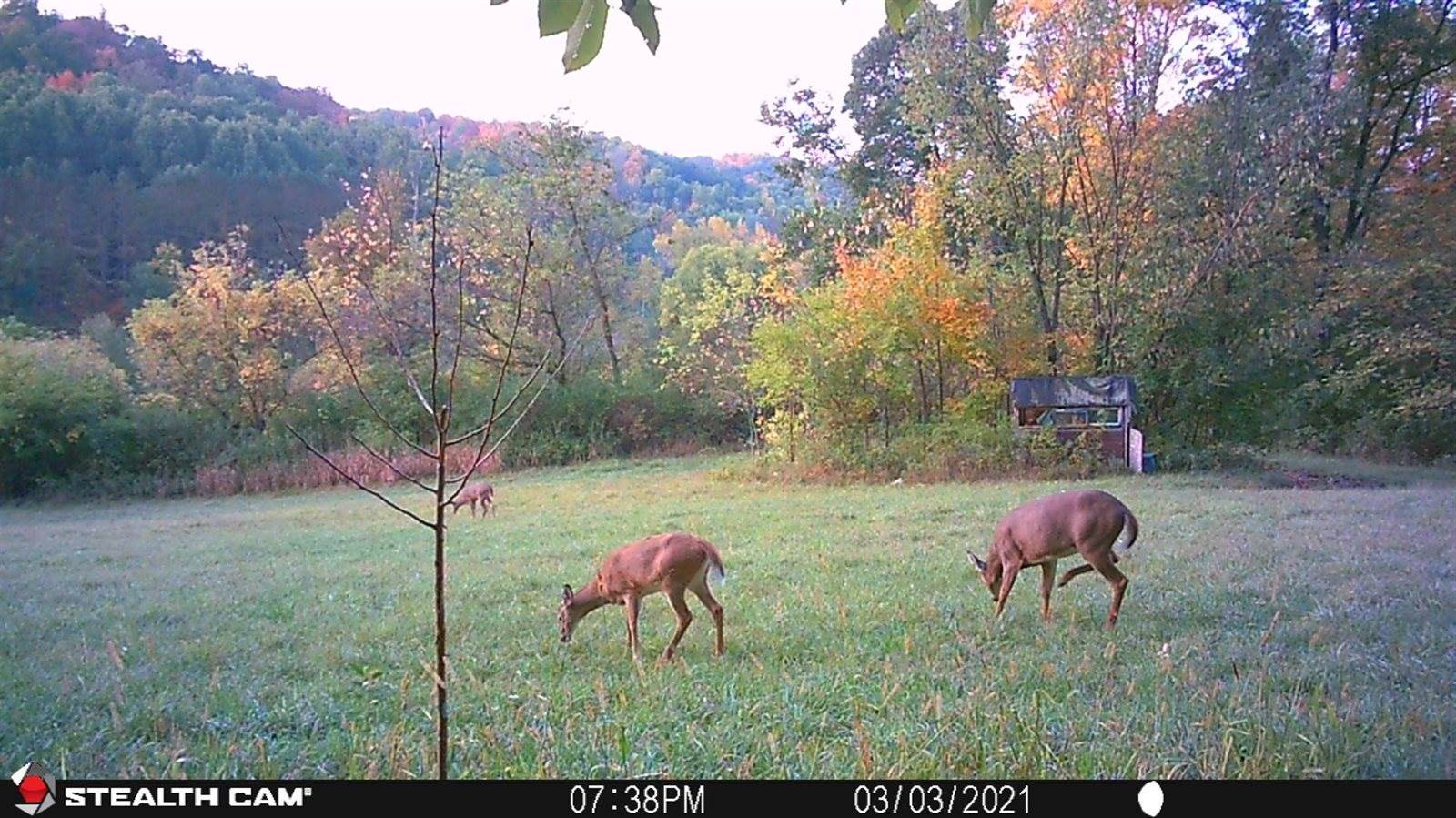 16526 County Rd. H, Marshall, WI 53581