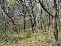 16526 County Rd. H, Marshall, WI 53581