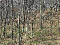 16526 County Rd. H, Marshall, WI 53581