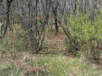 16526 County Rd. H, Marshall, WI 53581