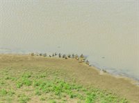 7984 Lone Star Parkway, Moody, TX 76557