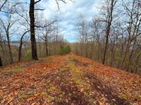 Mel Dor Acres, Climax Springs, MO 65324