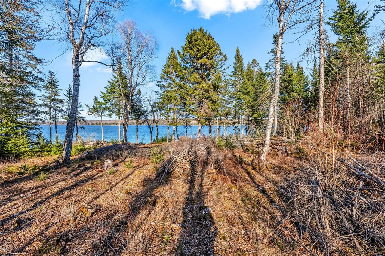 7 White Tail Lane, Gouldsboro, ME 04607
