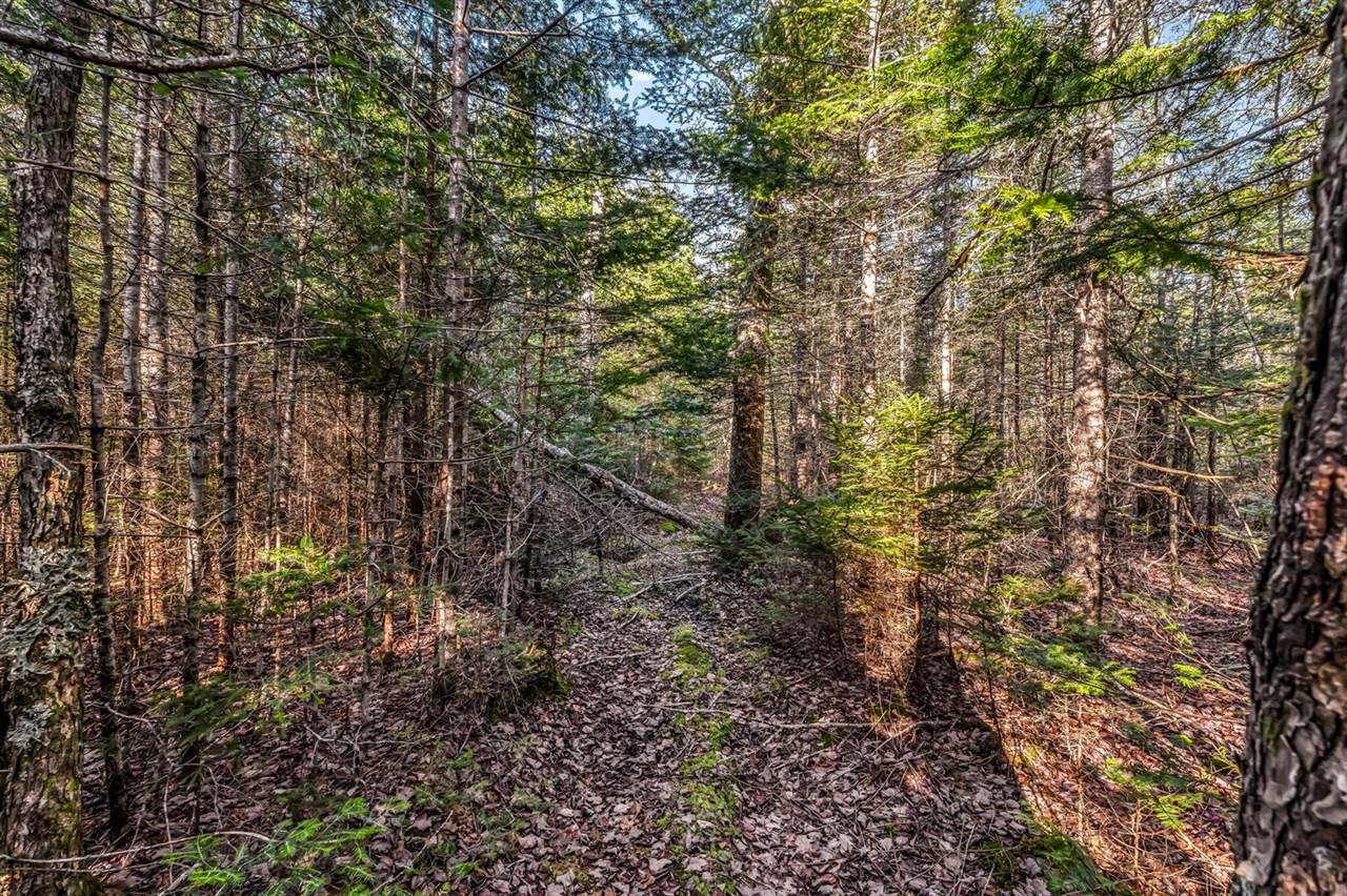 7 White Tail Lane, Gouldsboro, ME 04607