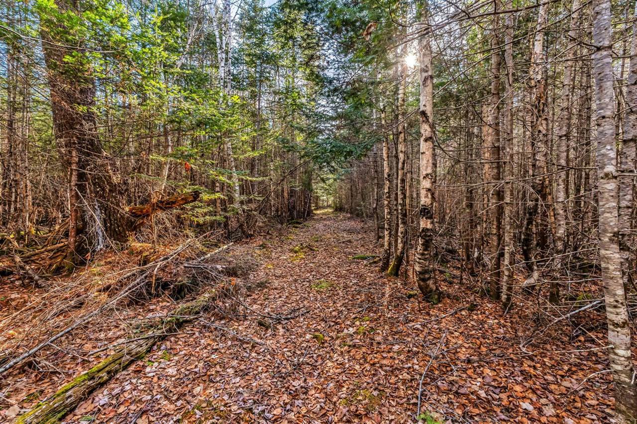 7 White Tail Lane, Gouldsboro, ME 04607