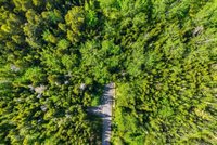 7 White Tail Lane, Gouldsboro, ME 04607