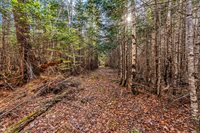 7 White Tail Lane, Gouldsboro, ME 04607