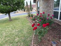 Listing Photo 29