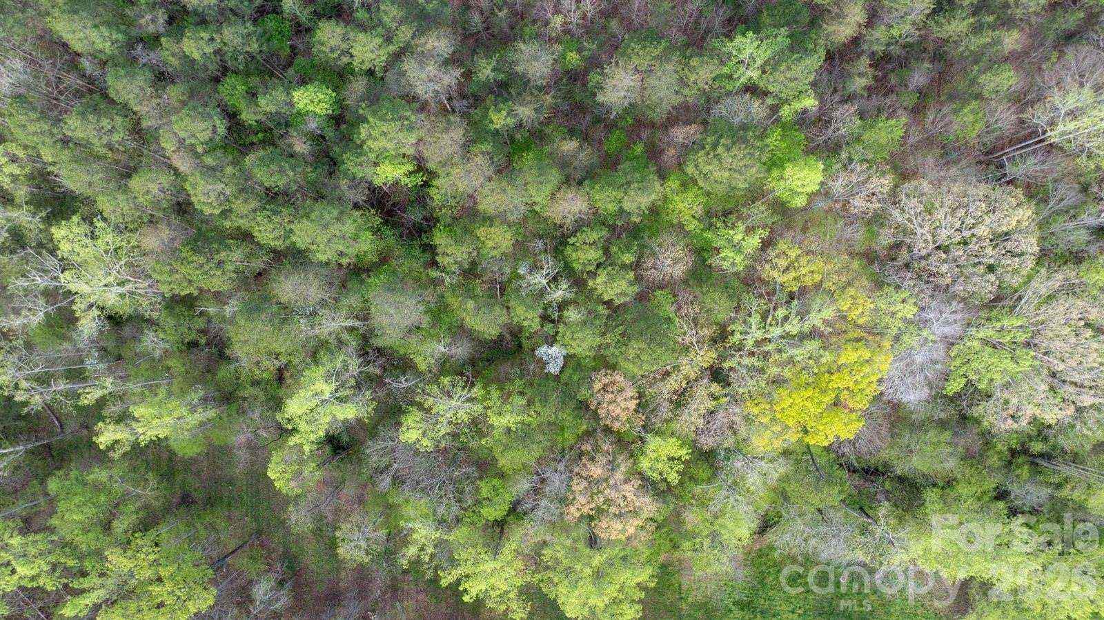 0 Flowing Ivy Lane, Claremont, NC 28610