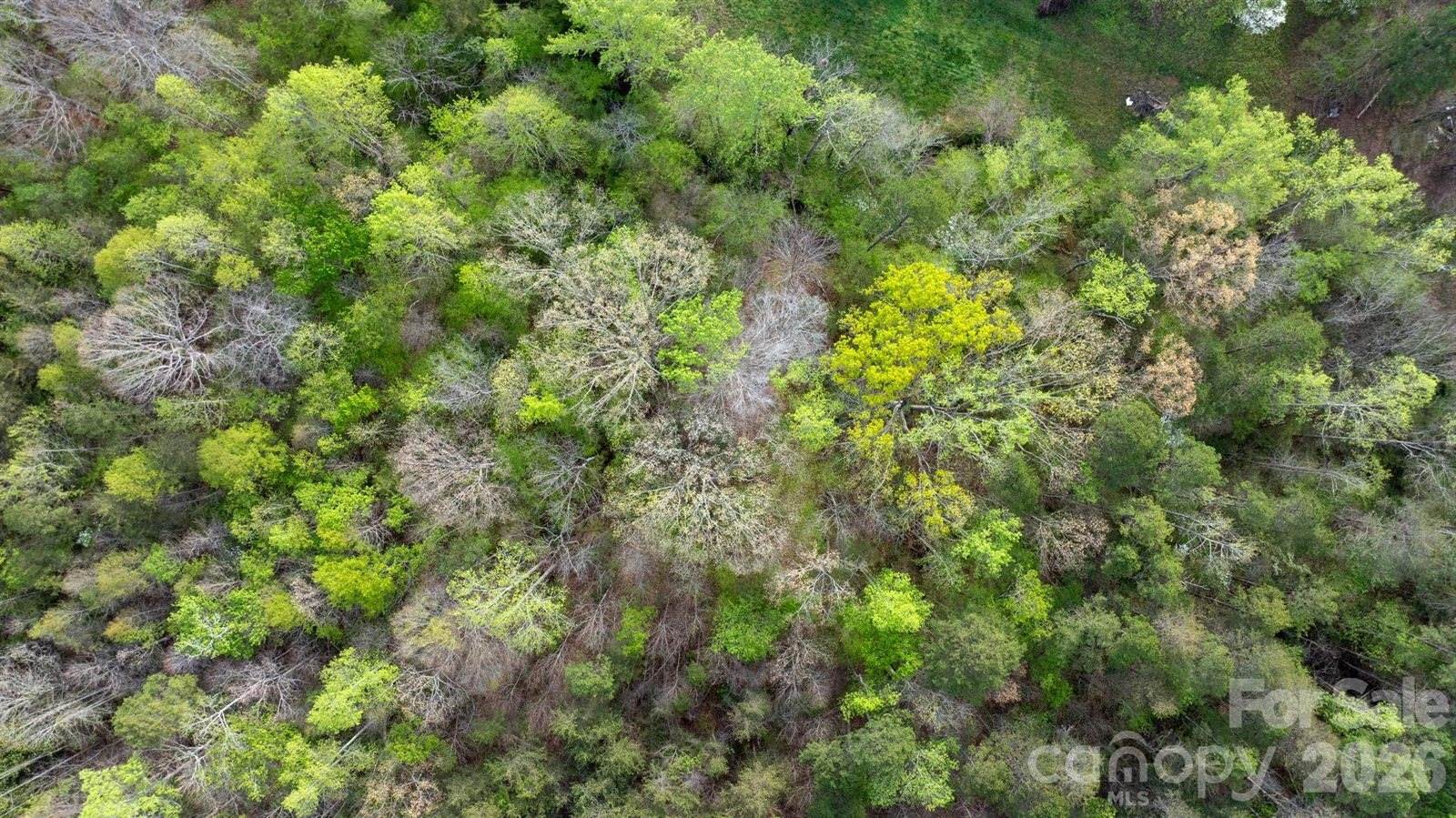0 Flowing Ivy Lane, Claremont, NC 28610