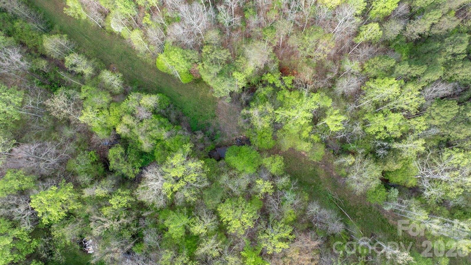 0 Flowing Ivy Lane, Claremont, NC 28610