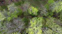 0 Flowing Ivy Lane, Claremont, NC 28610