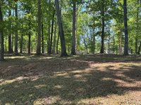 108 Skiers Point, Macon, NC 27551