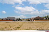 1421 Owl Creek Avenue, Montrose, CO 81401