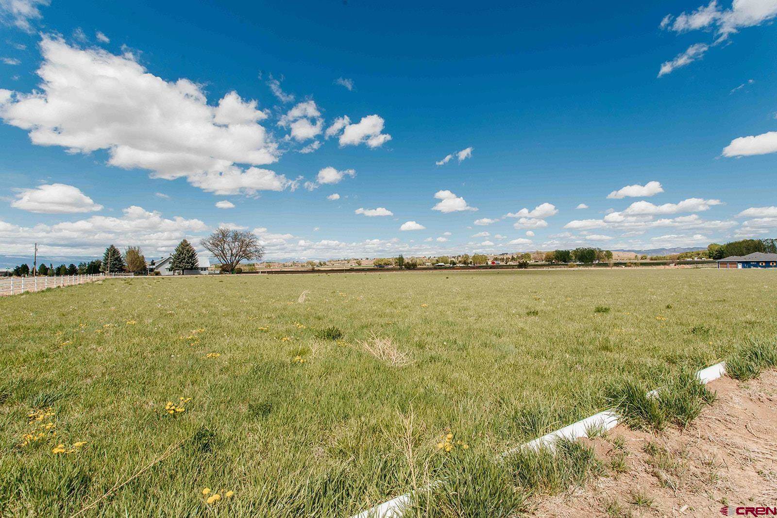 11604 5800 Road, Montrose, CO 81403