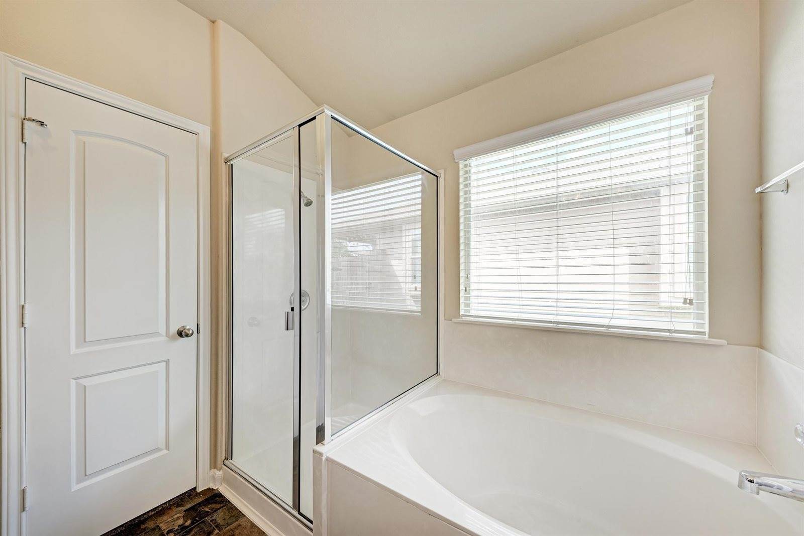 12413 Walter Vaughn Dr, Manor, TX 78653