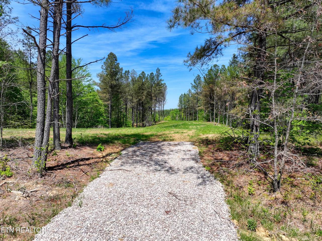372 Stonecipher Court, Sunbright, TN 37872