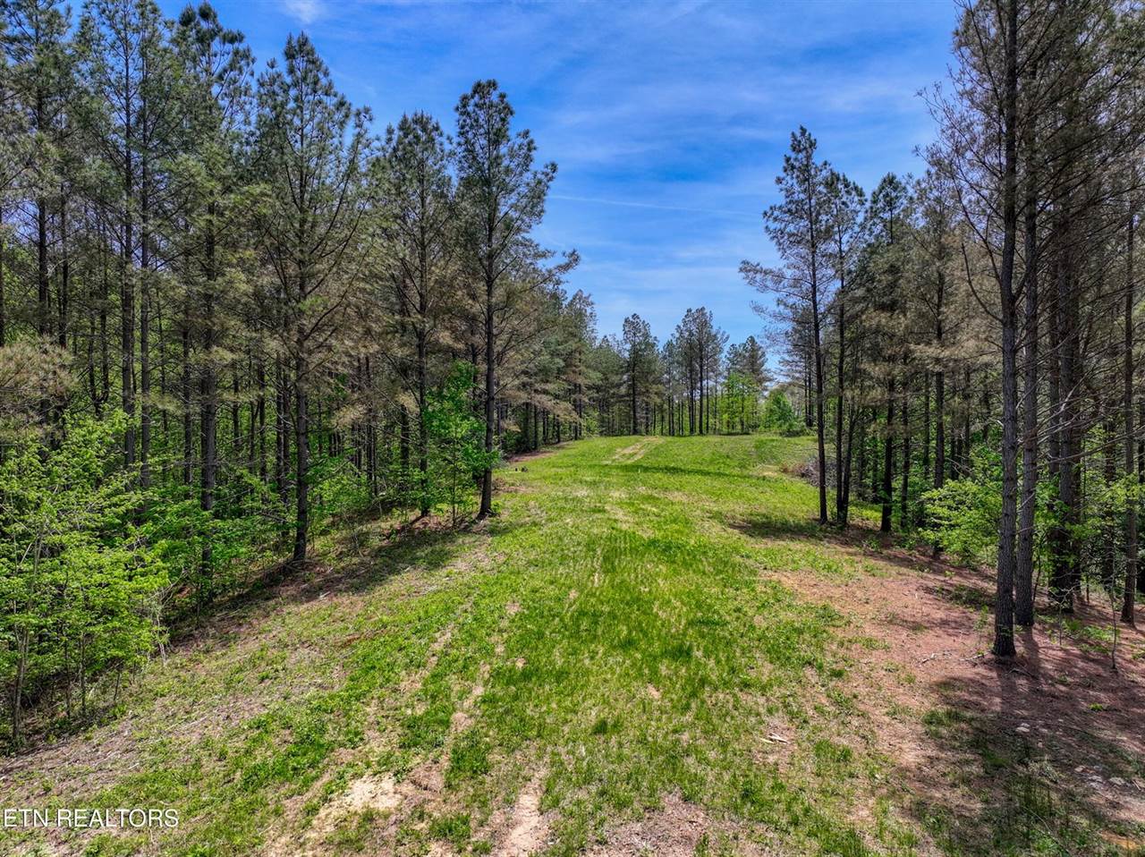 372 Stonecipher Court, Sunbright, TN 37872