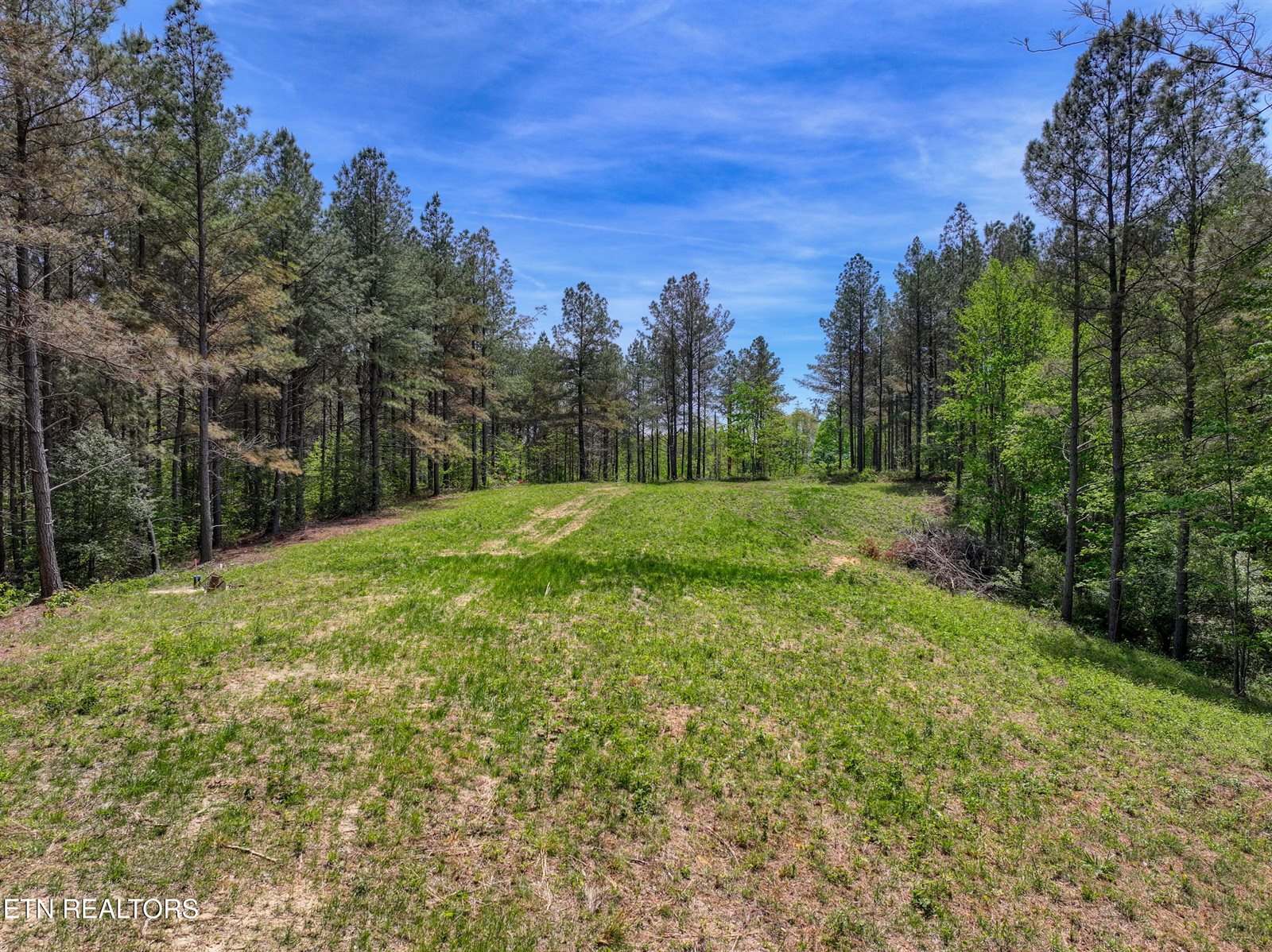 372 Stonecipher Court, Sunbright, TN 37872