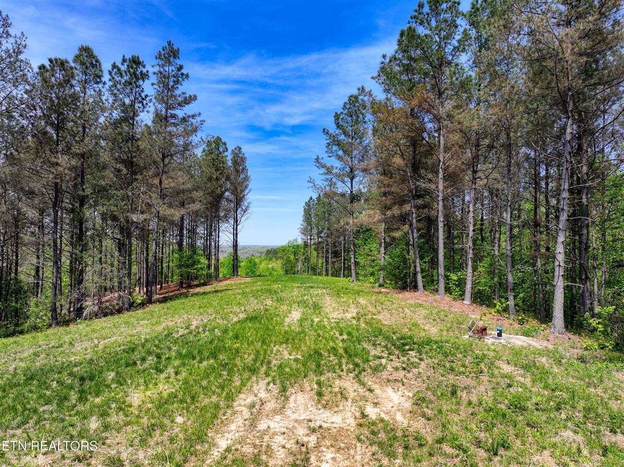 372 Stonecipher Court, Sunbright, TN 37872