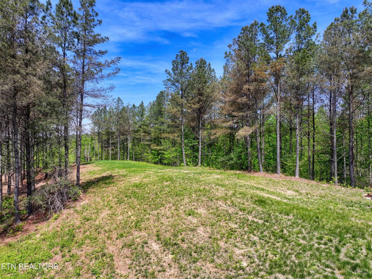 372 Stonecipher Court, Sunbright, TN 37872