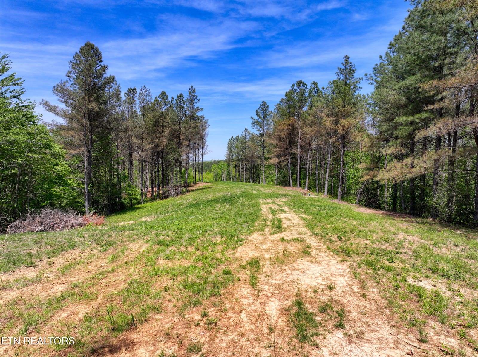 372 Stonecipher Court, Sunbright, TN 37872