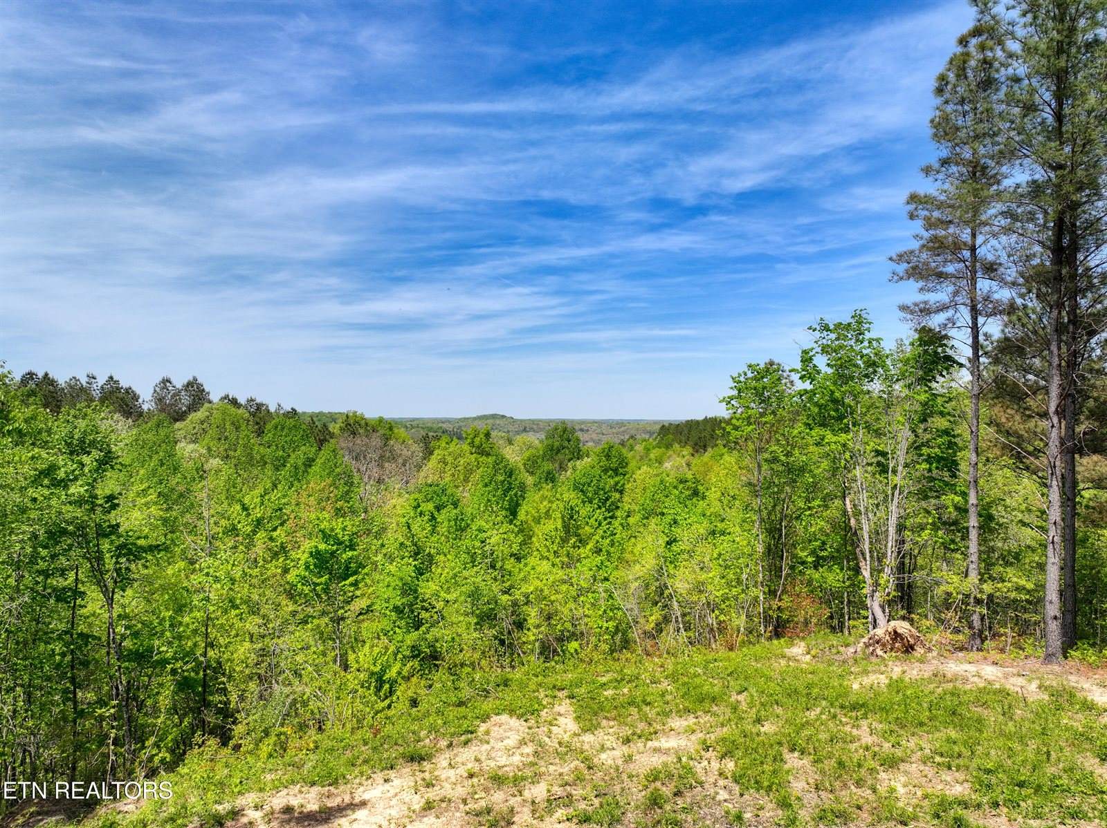 372 Stonecipher Court, Sunbright, TN 37872