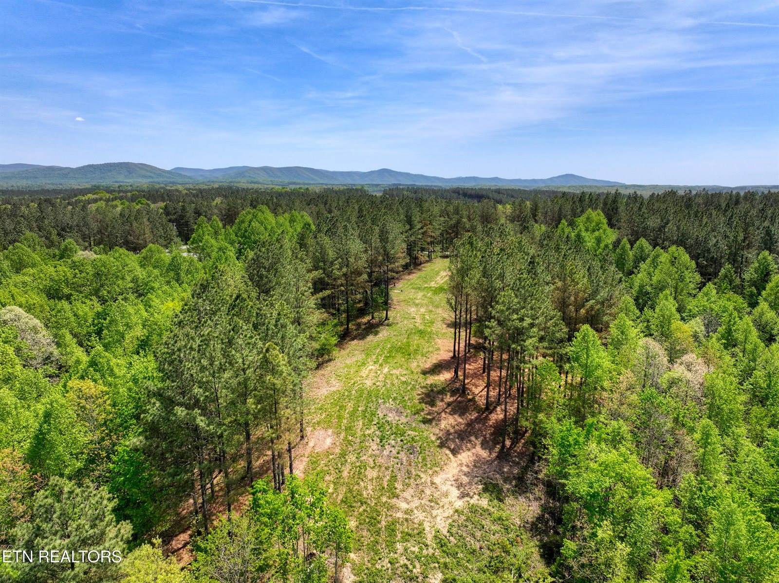 372 Stonecipher Court, Sunbright, TN 37872
