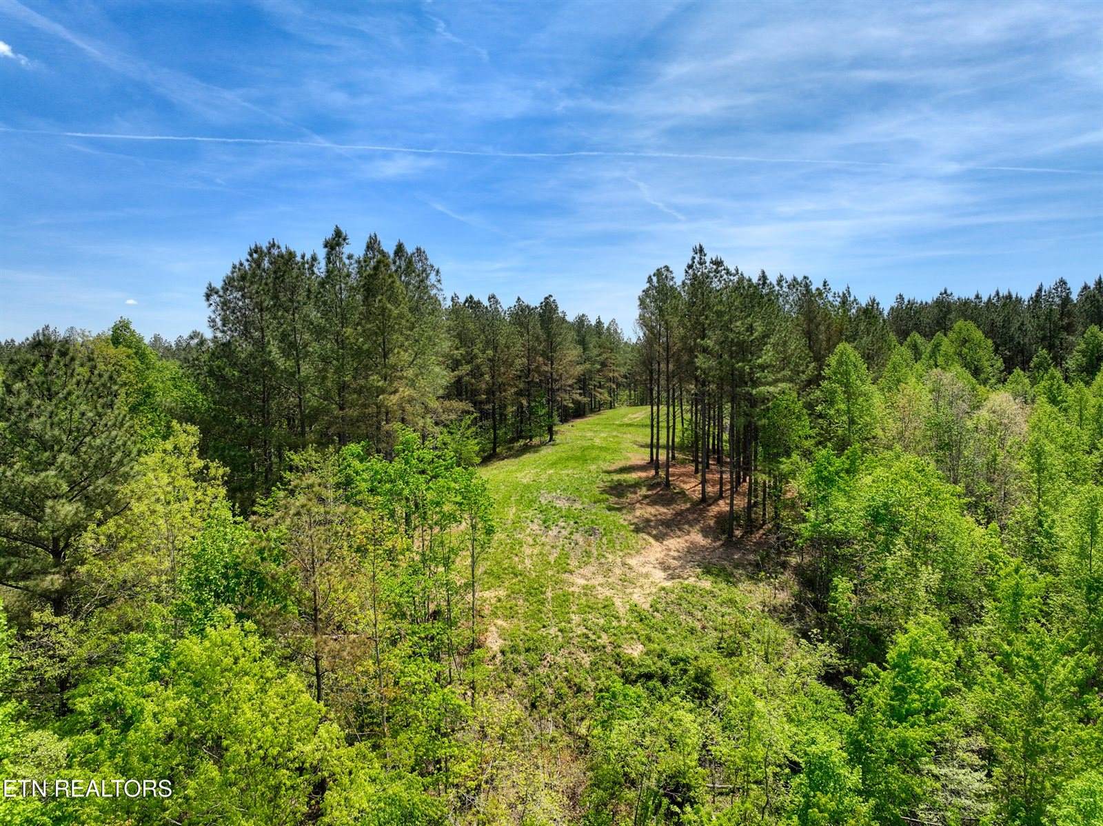 372 Stonecipher Court, Sunbright, TN 37872