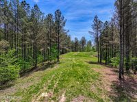 372 Stonecipher Court, Sunbright, TN 37872