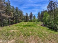 372 Stonecipher Court, Sunbright, TN 37872