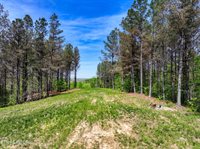 372 Stonecipher Court, Sunbright, TN 37872