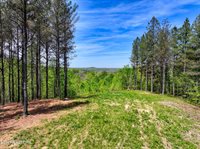 372 Stonecipher Court, Sunbright, TN 37872