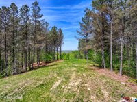 372 Stonecipher Court, Sunbright, TN 37872