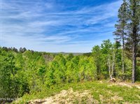 372 Stonecipher Court, Sunbright, TN 37872
