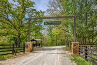 372 Stonecipher Court, Sunbright, TN 37872