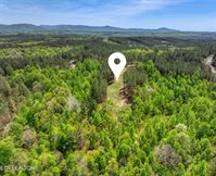 372 Stonecipher Court, Sunbright, TN 37872