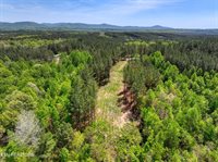372 Stonecipher Court, Sunbright, TN 37872