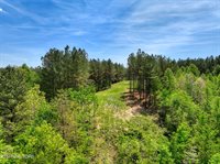 372 Stonecipher Court, Sunbright, TN 37872