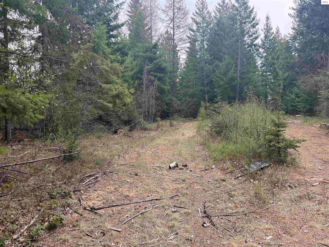 NKA Elderberry Road, Bonners Ferry, ID 83805