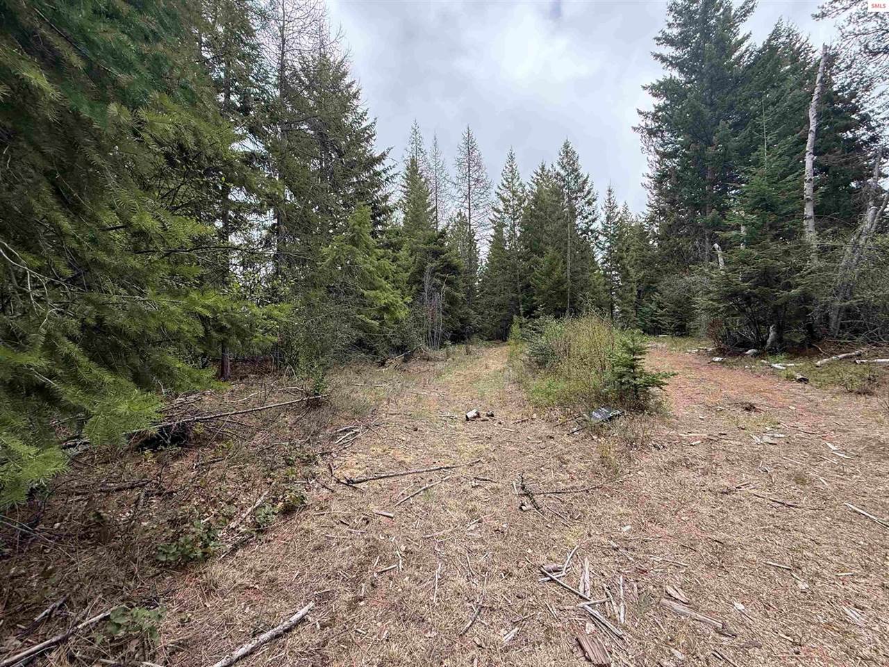 NKA Elderberry Road, Bonners Ferry, ID 83805