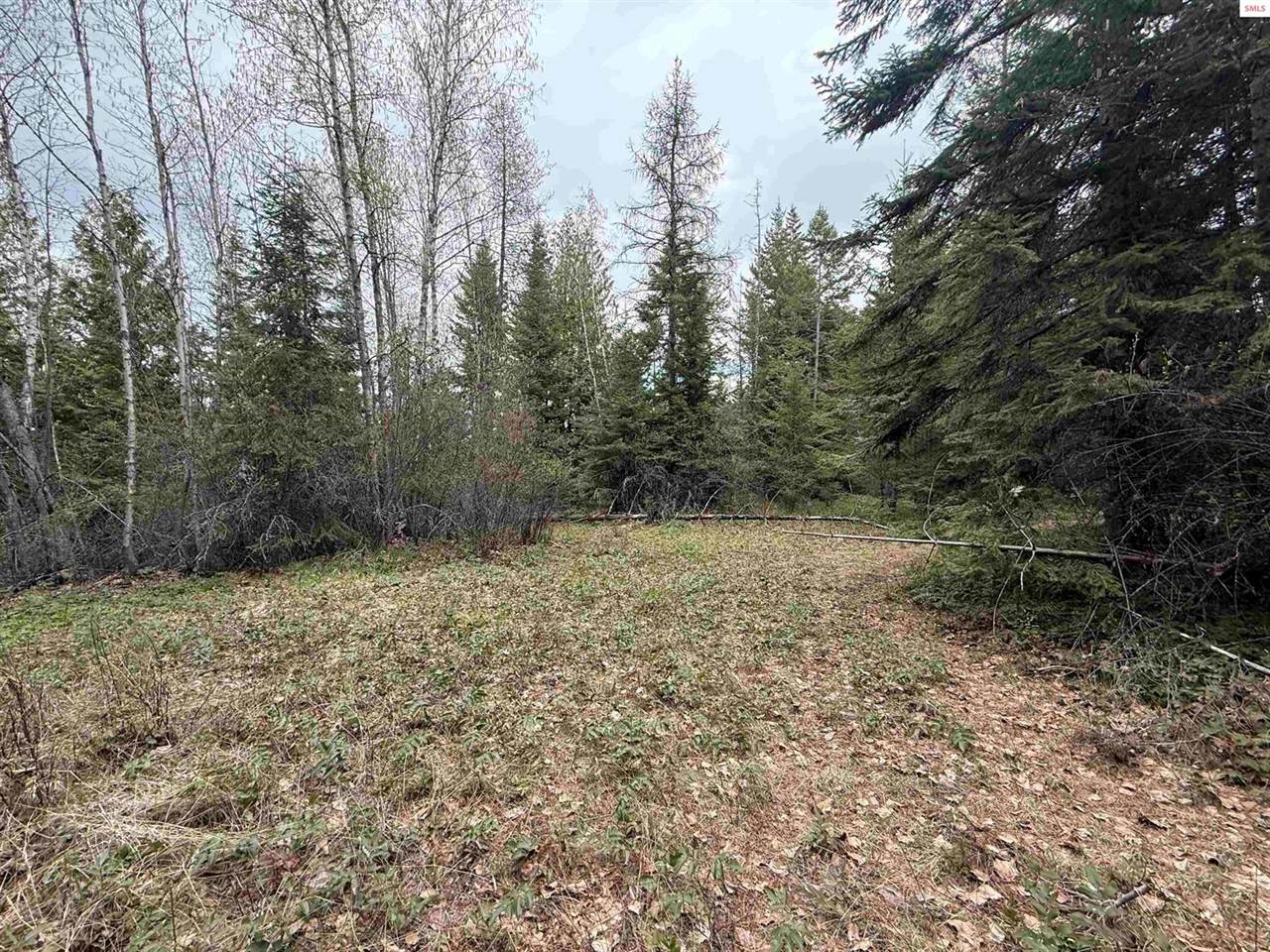NKA Elderberry Road, Bonners Ferry, ID 83805