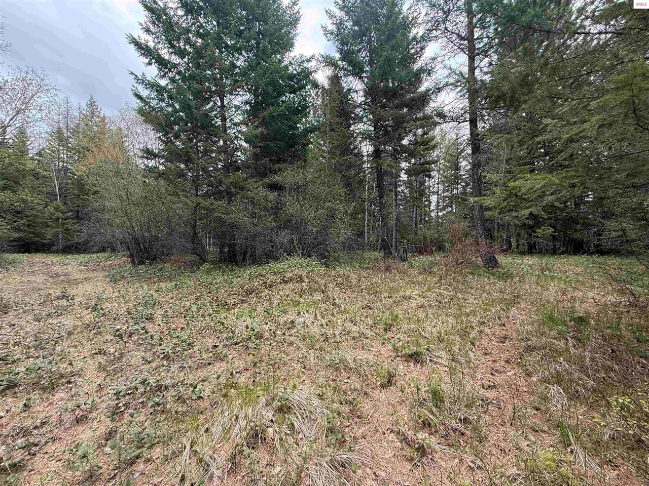 NKA Elderberry Road, Bonners Ferry, ID 83805