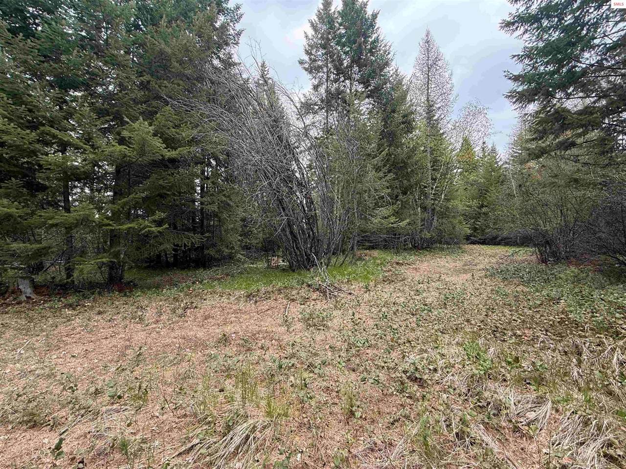 NKA Elderberry Road, Bonners Ferry, ID 83805