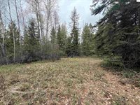NKA Elderberry Road, Bonners Ferry, ID 83805